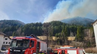 340 Freiwillige von 40 Feuerwehren sind in Schwarzau im Gebirge im Einsatz – auch die ganze Nacht hindurch.   (Bild: LFR Huber)