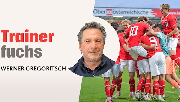 Krone-Kolumne von Werner Gregoritsch