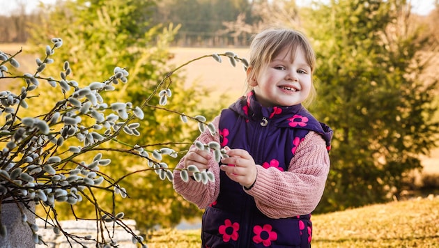 Die kleine Sophie freut sich, dass es am Wochenende herrliches Wetter gibt, bewundert die Palmkatzerl. (Bild: Pressefoto Scharinger/Daniel Scharinger)