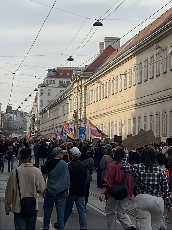 Der Demozug zieht am Samstag durch die Wiener Innenstadt.