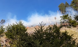 Derzeit läuft ein Großeinsatz im Rax-Gebiet – Wind, Trockenheit und steiles Gelände erschweren ...