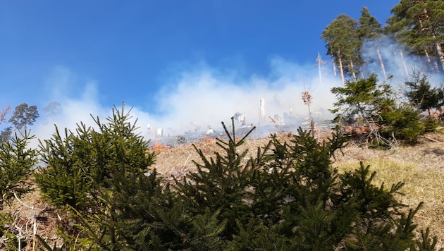 A major operation is currently underway in the Rax region - wind, drought and steep terrain are making firefighting difficult. (Bild: Leserreporter)