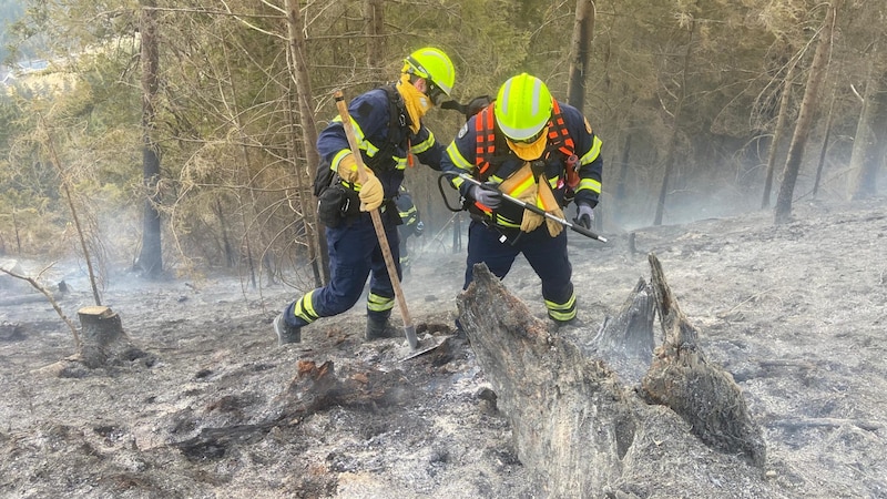 The extinguishing work is proving difficult in the steep terrain. (Bild: NÖ LFK)