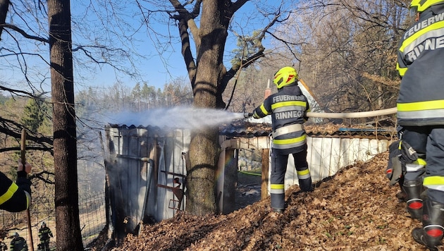 47 firefighters were deployed on Sunday morning (Bild: Freiwillige Feuerwehr Rinnegg)