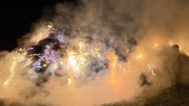 Einer der brennenden Misthaufen in Lustenau.  (Bild: Feuerwehr Lustenau)