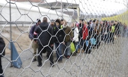 Die Asylanträge in der EU sind im ersten Halbjahr 2025 stark zurückgegangen.