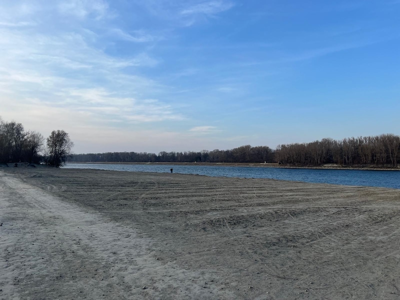 Die Liegewiese im Strombad Kritzendorf als Sandwüste ... (Bild: Leserreporterin)