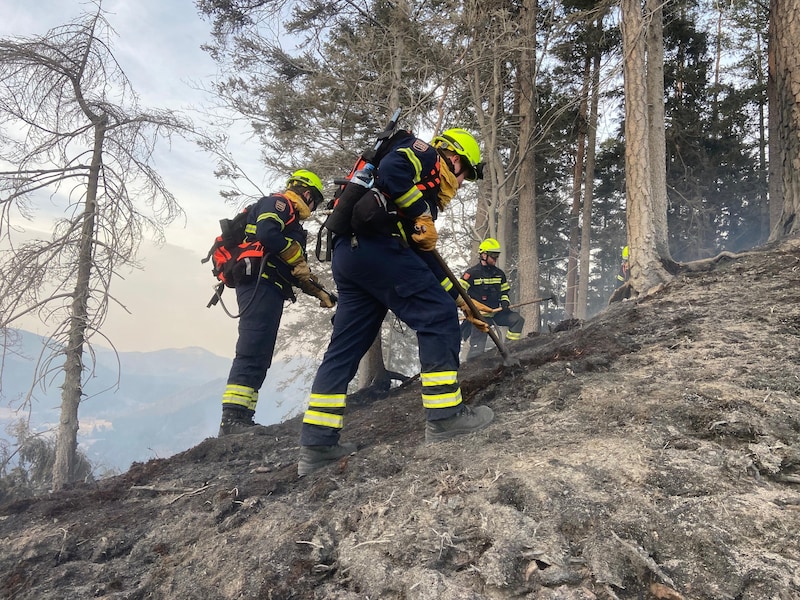 Thousands of embers still need to be found and extinguished. (Bild: NÖ LFK)