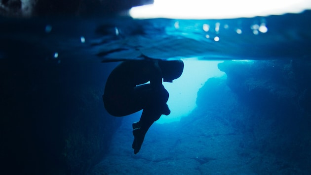 Freediver Jessea Lu has already spent more than eight minutes underwater without oxygen. (Bild: Courtesy Of Intuitive Pictures And The National Film Board Of Canada)