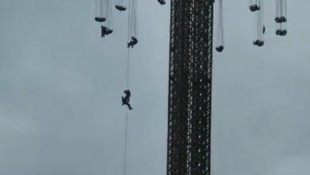 Aufregung bei mehreren Passanten am Montagvormittag beim Wiener Prater. Die „Krone“ weiß, was dahintersteckt.  (Bild: „Krone“-Leserreporter)