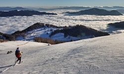 Die Aflenzer Bürgeralm