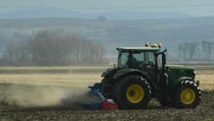 Die ersten Blumen haben kein Problem mit der Trockenheit: Schneeglöckchen speichern Wasser in der Zwiebel. Aber Ackerbauern wünschen sich mehr Regen. (Bild: P. Huber)