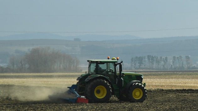 Die ersten Blumen haben kein Problem mit der Trockenheit: Schneeglöckchen speichern Wasser in der Zwiebel. Aber Ackerbauern wünschen sich mehr Regen. (Bild: Patrick Huber)