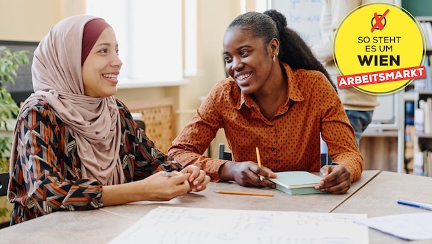 Helfen uns Zuwanderer, die Herausforderungen der Wirtschaft zu bewältigen? Und welche Nationen sind hier besonders auffällig?  (Bild: Krone KREATIV/Adobe Stock)