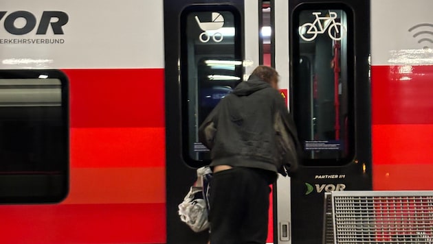 It is always the same two homeless people who cause dozens of local trains in Vienna to break down. (Bild: obblokfuhrer, Krone KREATIV)