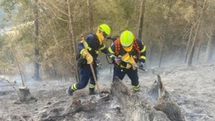 Der Brand wurde gelöscht. Glutnester können aber nach wie vor auftreten und werden je nach Wetterlage auch noch längere Zeit überwacht.  (Bild: NÖ LFK)