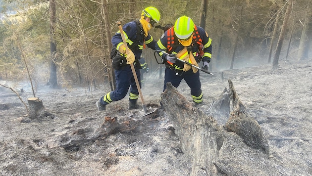 Der Brand wurde gelöscht. Glutnester können aber nach wie vor auftreten und werden je nach Wetterlage auch noch längere Zeit überwacht.  (Bild: NÖ LFK)