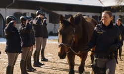 Die ehemaligen Polizeipferde Platon und Pegasus können ihren Ruhestand auf Gut Aiderbichl ...