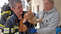 Einsatzkräfte konnten „Odin“ aus seiner misslichen Lage befreien. (Bild: Stefan Schneider)