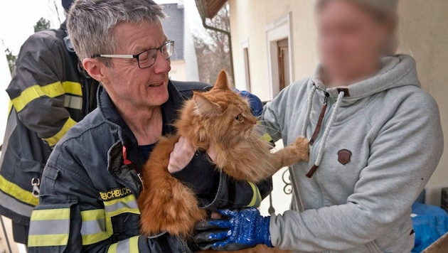 Emergency services were able to free "Odin" from his predicament. (Bild: Stefan Schneider)