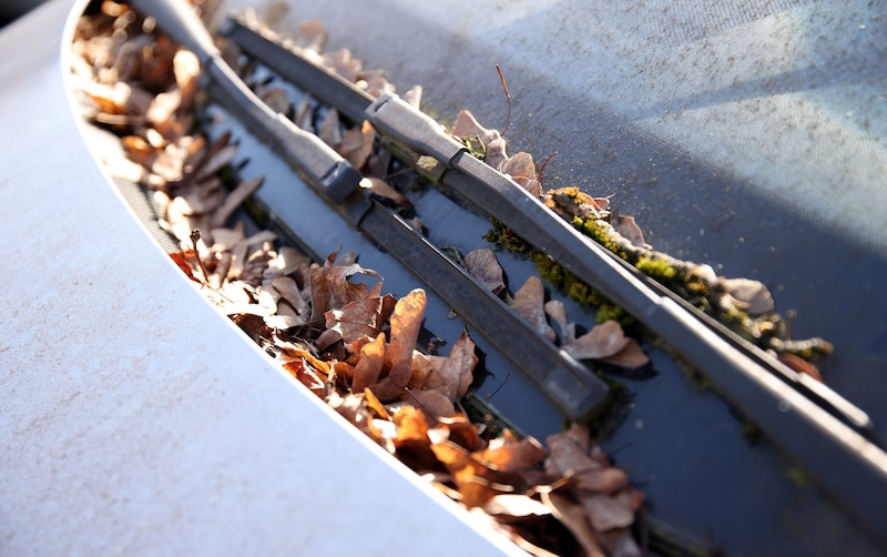 The car had been exposed to all weathers for years (Bild: Tröster Andreas)