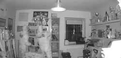Eine Kamera zeichnete die beiden Einbrecher auf, die in der Nacht des Faschingsdienstags in einem Haus in St. Oswald bei Freistadt einen Tresor erbeuteten. Besonders auffällig: das Logo auf den Schutzanzügen (Bild: Haneder)