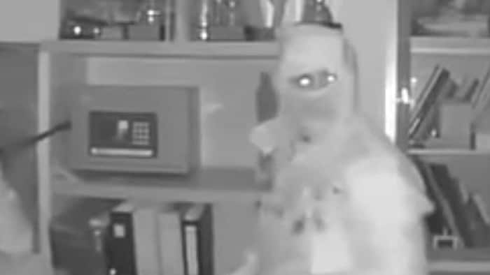 A video camera recorded the perpetrators.
