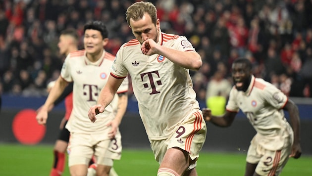 Harry Kane and Co. have made it - they are through to the quarter-finals of the Champions League! (Bild: INA FASSBENDER)