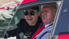 Musk und Trump begutachten einen Tesla. (Bild: AP/Weißes Haus)