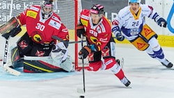 Baumgartner (M.) ist eine wichtige Stütze in Bern. (Bild: SC Bern/Thomas Hiller)