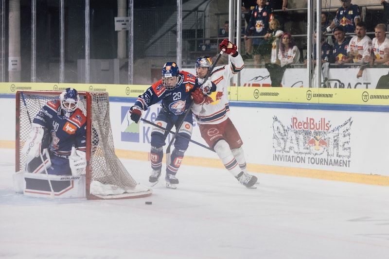 Im Vorjahr trafen die EIsbullen auf die ZSC Lions. (Bild: Gintare Karpaviciute - EC Red Bull Salzburg)