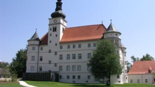 Heute ist das Schloss Hartheim ein Lern- und Gedenkort. (Bild: Lern- und Gedenkort Schloss Hartheim)