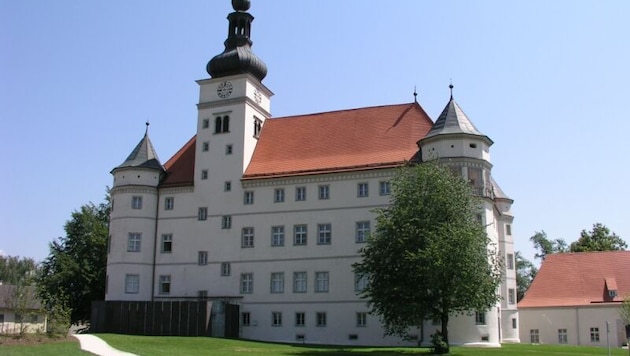 Heute ist das Schloss Hartheim ein Lern- und Gedenkort. (Bild: Lern- und Gedenkort Schloss Hartheim)