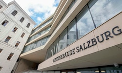 Verhandelt wurde am Donnerstag im Salzburger Landesgericht.