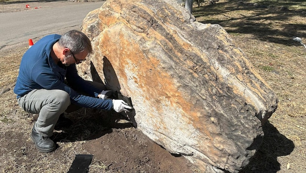 Insgesamt wurden auf der knapp einen Quadratmeter großen Steinplatte 66 einzelne Abdrücke entdeckt. (Bild: HANDOUT)