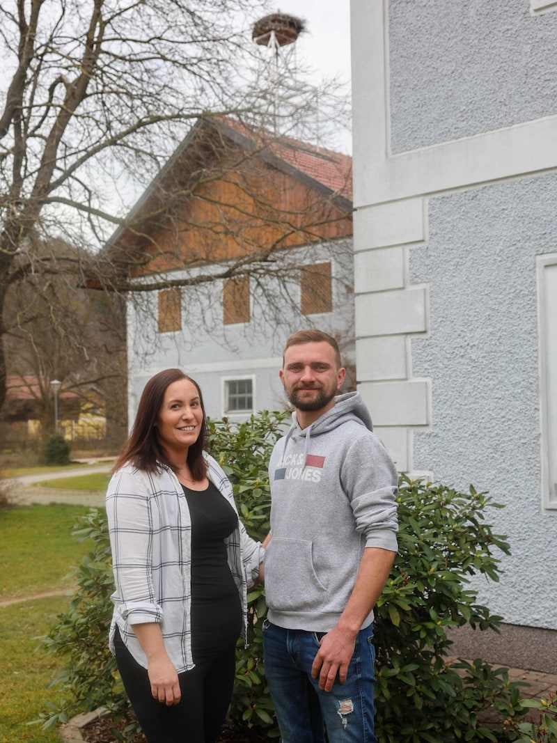 Bernadette und Martin Pieringer freuen sich Jahr für Jahr auf die Ankunft des Storchen-Männchens, dem sie auf ihrem Hof Unterschlupf gewähren. (Bild: Pressefoto Scharinger/Daniel Scharinger)