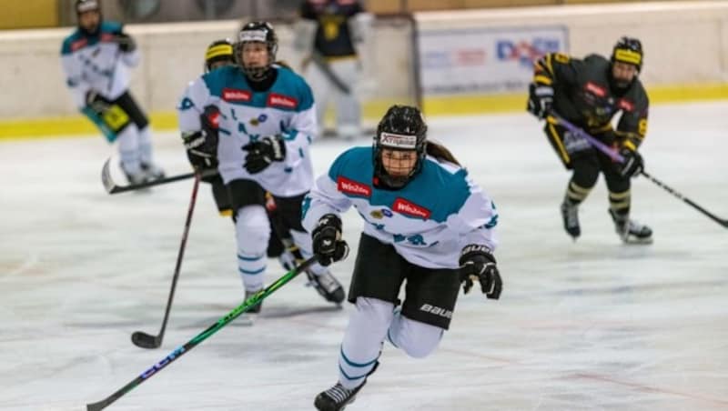 Volle Action am 28.3. und 29.3. in der Eisarena Linz. (Bild: DerHandler)