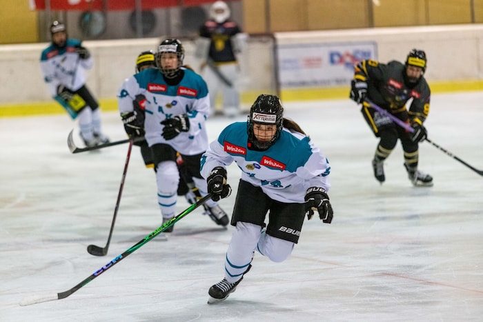 Volle Action am 28.3. und 29.3. in der Eisarena Linz.