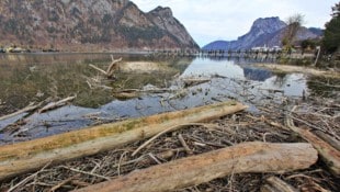 Kein schönes Bild gibt der Traunsee in Ebensee ab. Seit Jahren sammeln sich angeschwemmtes Holz und Müll an. (Bild: Hörmandinger Marion)