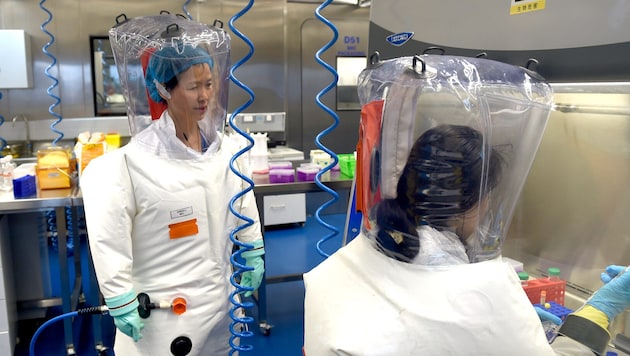 Researchers at the Wuhan Institute of Virology (Bild: EPA/SHEPHERD HOU)