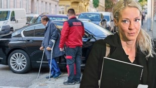 Simone Lugner muss sich mit juristischen Ärgernissen herumschlagen. (Bild: Krone KREATIV/Vienna Press/Andreas Tischler, Krone/Martin Jöchl)