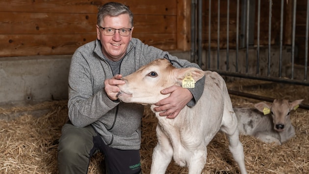 Andreas Steinegger with one of his calves on the farm (Bild: LK Stmk-Fuchs)