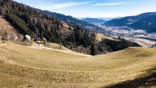 Weite Ausblicke und stille Wälder prägen diese Tour. (Bild: Weges)