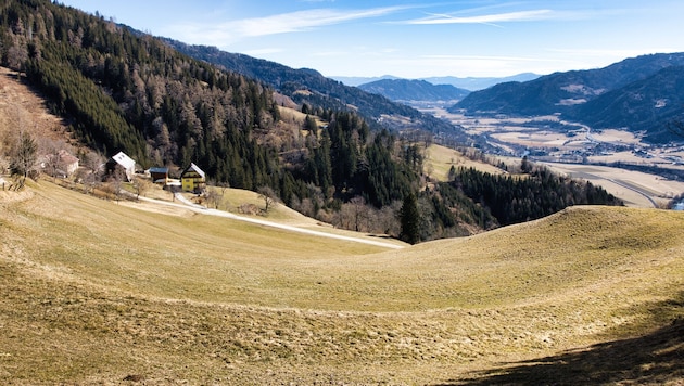 Wide views and quiet forests characterize this tour. (Bild: Weges)