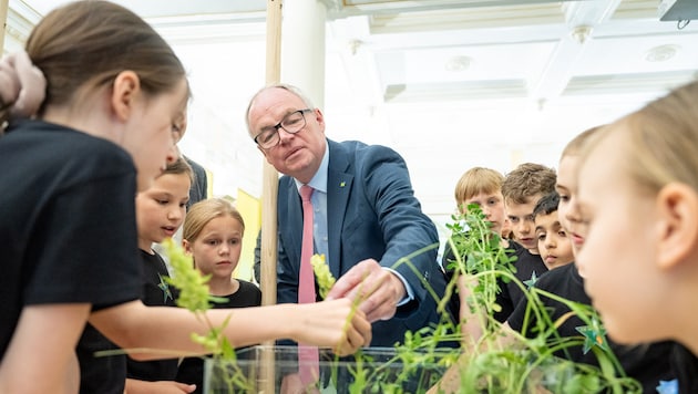 The Environment.knowledge days took place at the University of Applied Sciences in Wiener Neustadt this year. Stephan Pernkopf, Vice-President of the Province, also attended the research workshops. (Bild: Zsolt Marton)