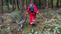 Meist werden sehr große Gebiete bei der Suche nach Abgängigen abgegrast. (Symbolbild) (Bild: ÖRHB)