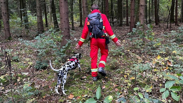 Meist werden sehr große Gebiete bei der Suche nach Abgängigen abgegrast. (Symbolbild) (Bild: ÖRHB)