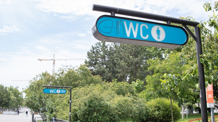 Eine 27-jährige Frau hat die Stadt Wien im August 2026 wegen einer Benutzungsgebühr von 50 Cent ...