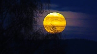 Wie hoch der Mond am Himmel wandert, hat nichts mit seiner Entfernung zu tun, sondern mit der Neigung der Erdachse. Im Winter steht er höher. (Bild: Georg Wastl)