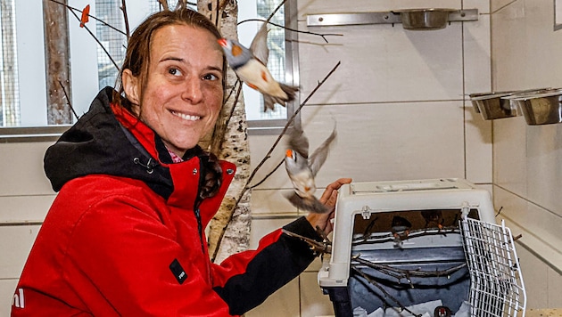 Vet Marianne Wondrak organized the transport of the 50 birds from Salzburg Zoo to the Gut Aiderbichl sanctuary. (Bild: Markus Tschepp)